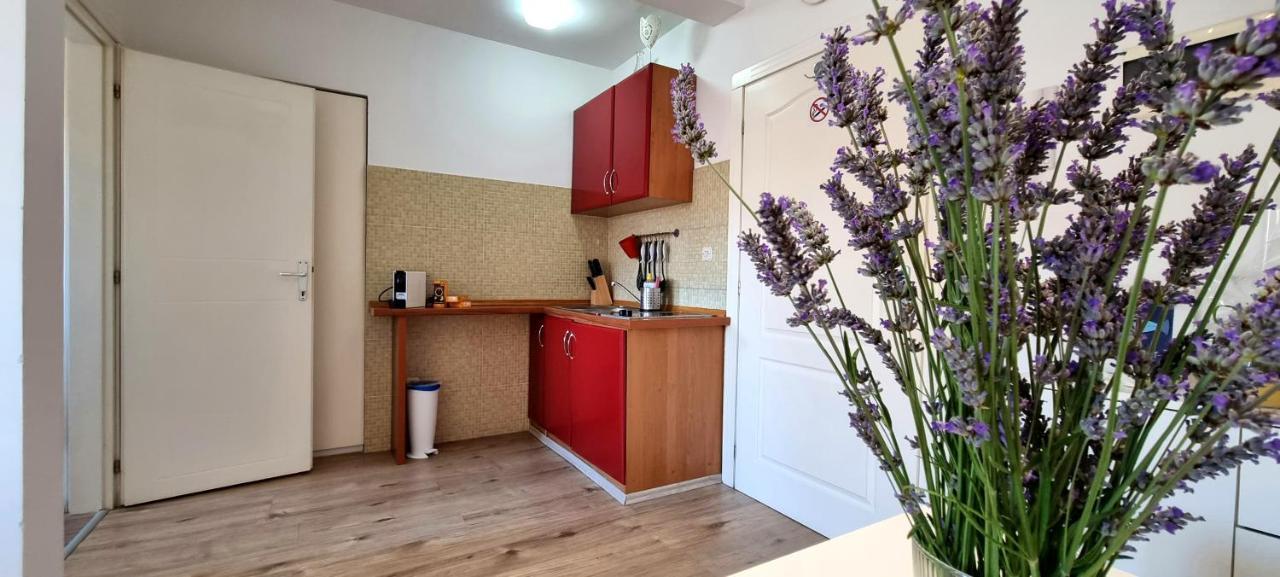Tiny Studio Big Living Rovinj Dış mekan fotoğraf
