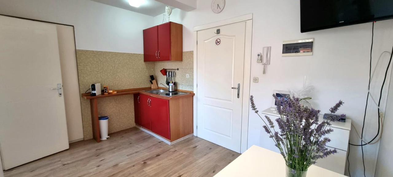 Tiny Studio Big Living Daire Rovinj Dış mekan fotoğraf
