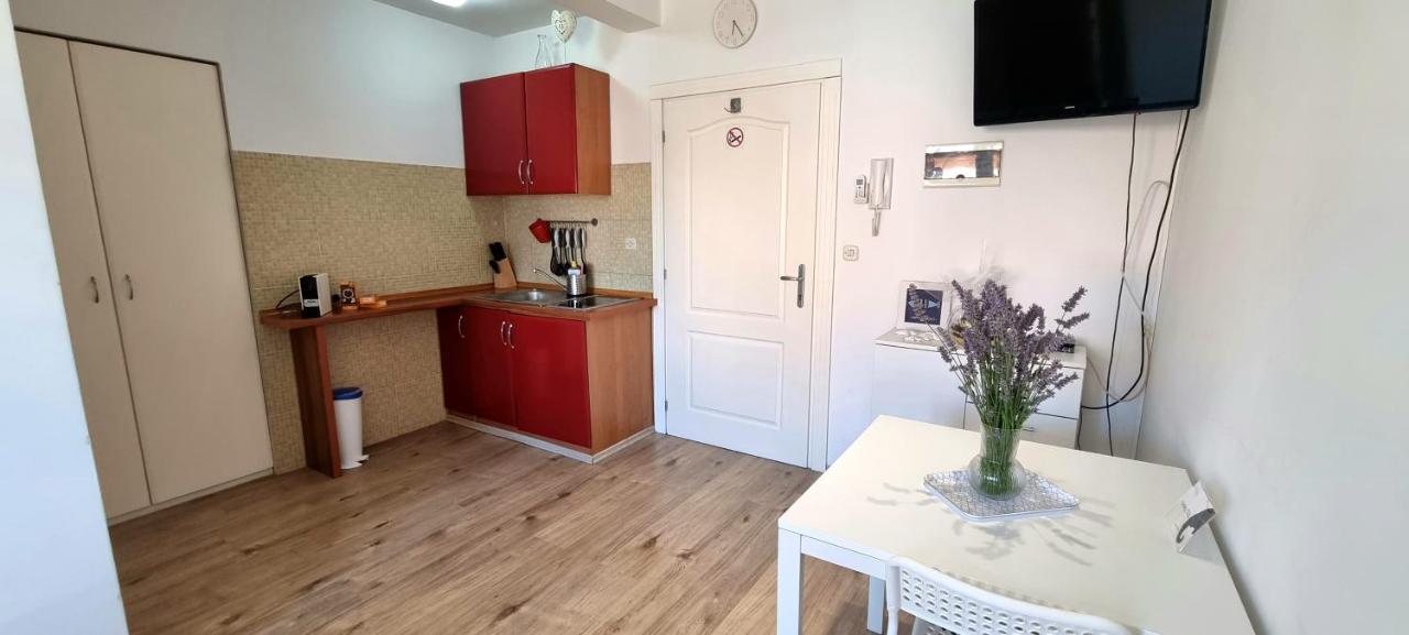 Tiny Studio Big Living Daire Rovinj Dış mekan fotoğraf