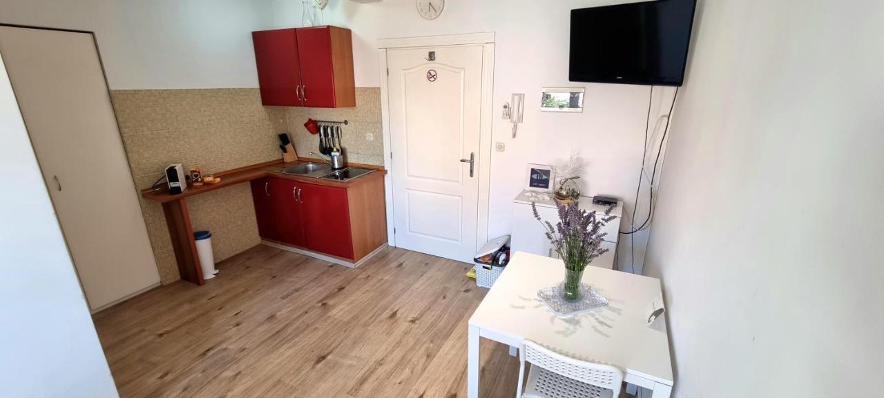 Tiny Studio Big Living Daire Rovinj Dış mekan fotoğraf