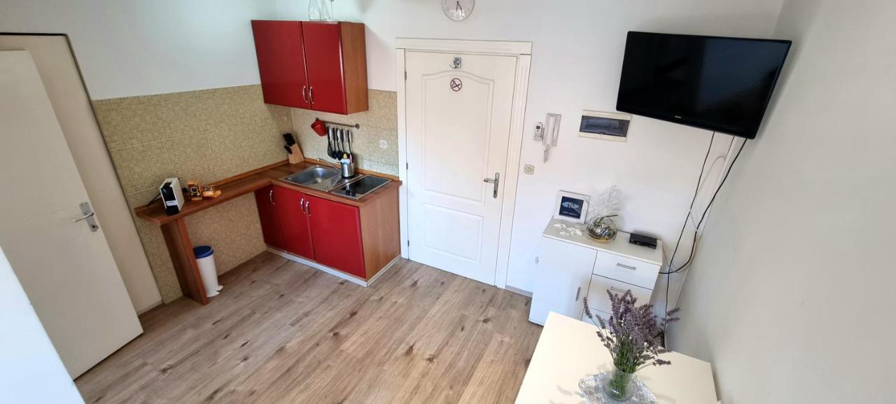 Tiny Studio Big Living Daire Rovinj Dış mekan fotoğraf